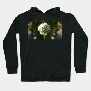 White Onion Flower by Avril Thomas Hoodie